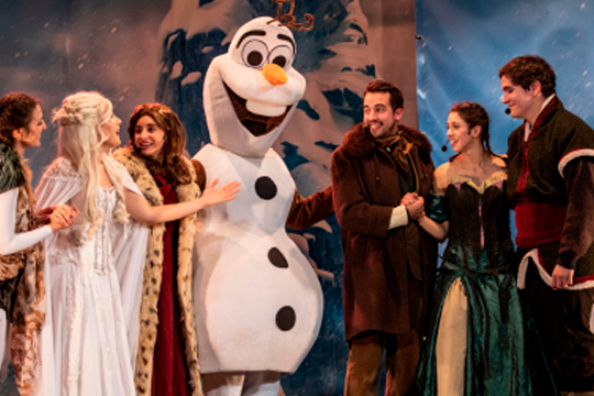 "La magia del hielo. El tributo a Frozen"