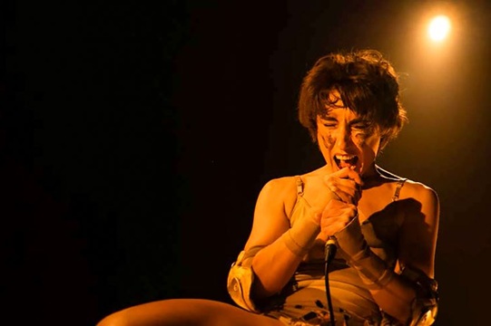 "ZORRA DORADA"