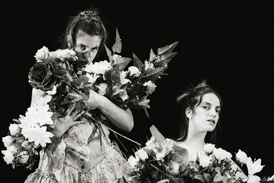 "DE ROSAS O DE LIRIOS"