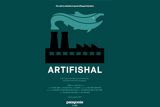 Gnat Zinema 2021: "ARTIFISHAL"