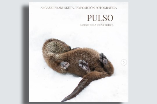 "Pulso. Latidos de la fauna ib&eacute;rica", Oihane Garc&iacute;a eta Daniel Vidalen erakusketa