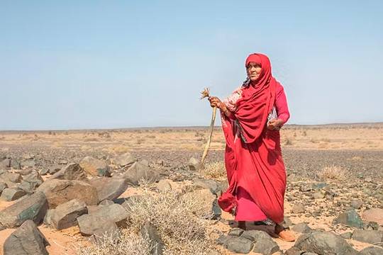 "El viaje de las mujeres del desierto", Ana Vali&ntilde;oren erakusketa
