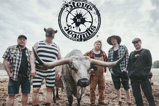 Steve 'n' Seagulls (Kafe Antzokia)
