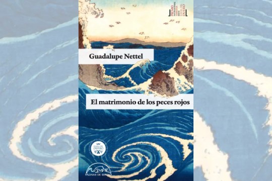 Literatur solasaldiak: "El matrimonio de los peces rojos" (Guadalupe Nettel)