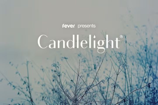CANDLELIGHT Bilbo: "Tributo a Ludovico Einaudi"