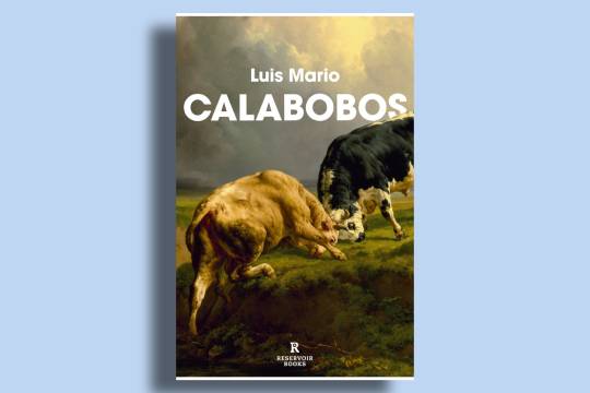 Literatura garaikidearen irakurketa kluba (2026-2027): "Calabobos" (Luis Mario)
