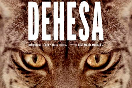 Gnat Zinema 2021: "Dehesa"
