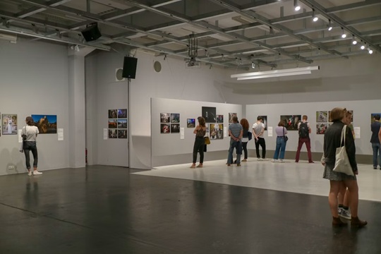 Exposici&oacute;n "De Irulegi a Pompelo. Los or&iacute;genes de la ciudad"