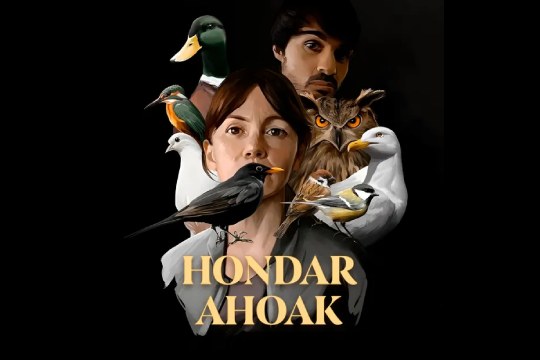 "Hondar ahoak" (serie)