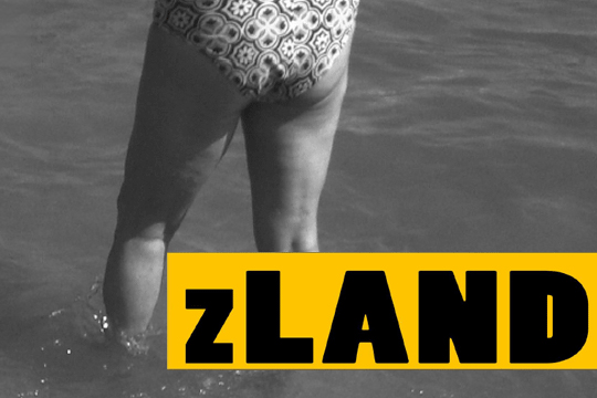 "zLAND"