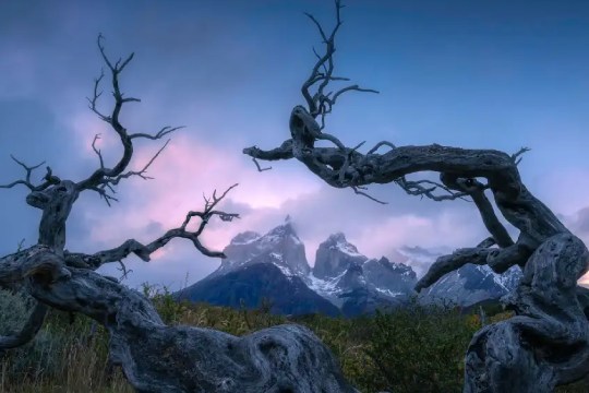 "De cero a cinco mil metros de altura", exposici&oacute;n de Juantxu Abasolo