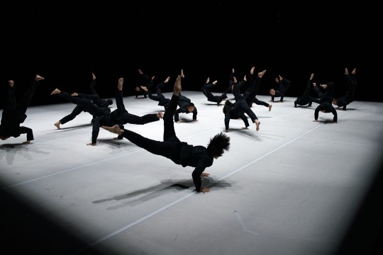 Festival Internacional de Teatro de Vitoria-Gasteiz 2026: "Numerical Series"