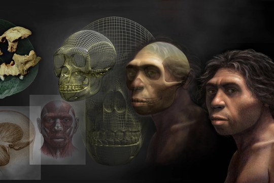 "Arte y paleontolog&iacute;a", exposici&oacute;n de Mauricio Ant&oacute;n