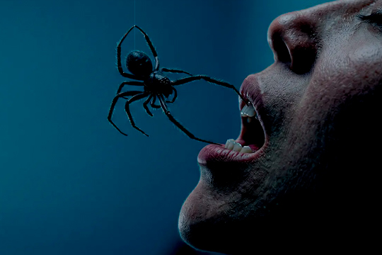 Programa Semana de Cine Fant&aacute;stico y de Terror de San Sebasti&aacute;n 2026