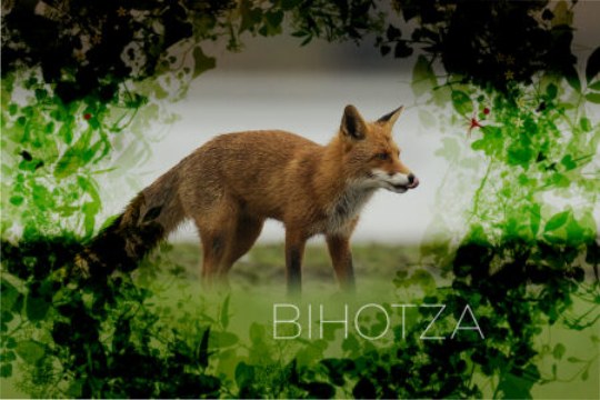 "Bihotza, la vida en &Aacute;lava como nunca la hab&iacute;as visto"