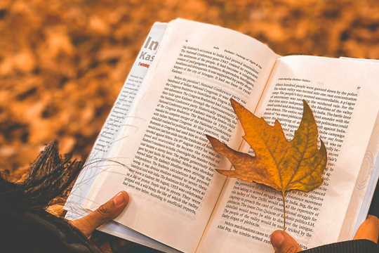 CLUB DE LECTURA BASOA: "El Libro Azul de Nebo"