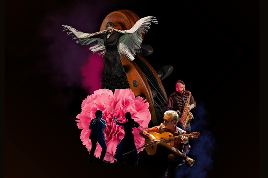 Zorongo + Orquesta Sinfon&iacute;a Navarra: "Sarasate Flamenco Sinf&oacute;nico"