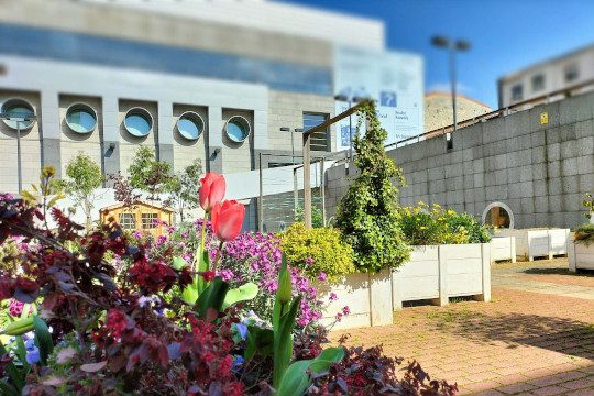Artium Museoa