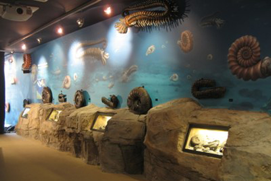 Nautilus. Mutrikuko Ikasgune Geologikoa